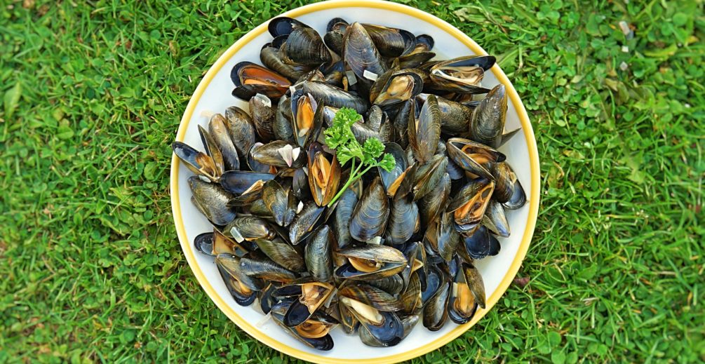 Mule z cydrem po francusku przepis